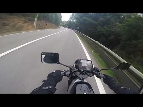 Suzuki Wolf 50 onboard