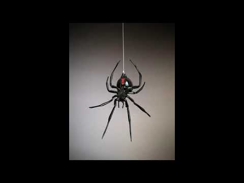 SNUB - NARASAX x Loserboy (prod.LaloPordBeatz)