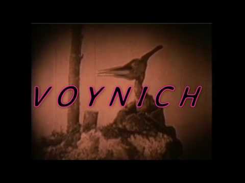 Voynich - Dinosaur