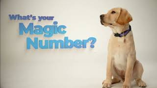 What's your Magic Number? Become a puppy raiser for Southeastern Guide Dogs.