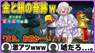 【あつ森】「離島ガチャ70連！」熱すぎる...怒涛の鳥ラッシュでキンカクとギンカクに翻弄されるばんちょーwww【轟はじめ/切り抜き/ホロライブ/ReGLOSS】#轟はじめ#ホロライブ#切り抜き