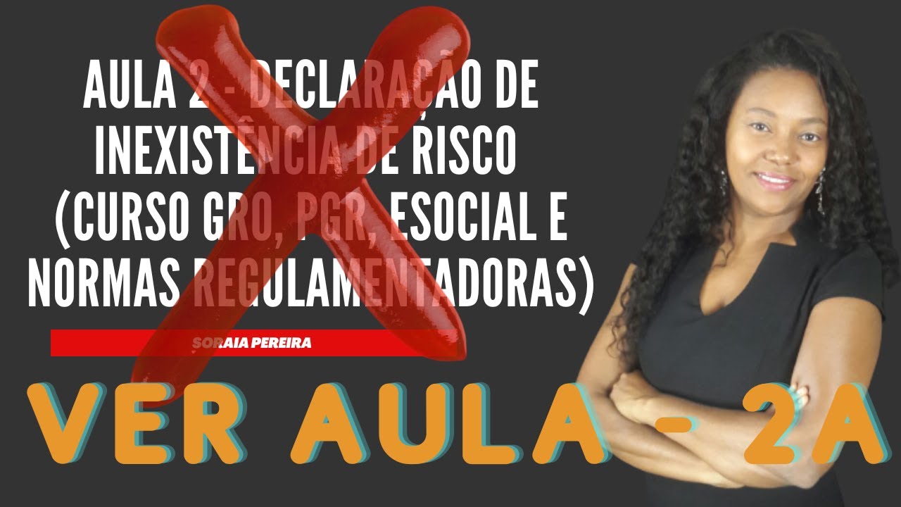 Aula 2 - Declaração de inexistência de risco (Curso de GRO, PGR, Esocial e Normas Regulamentadoras)