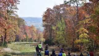 preview picture of video 'King of the North Disc Golf Tournament - Giants Ridge 2014 Biwabik MN'