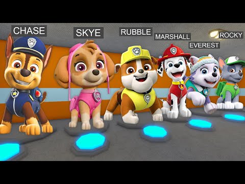 ALL PAW PATROL MORPHS! CHASE, SKYE, RUBBLE... in BARRY'S PRISON RUN!