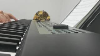 Remembering for Nenette