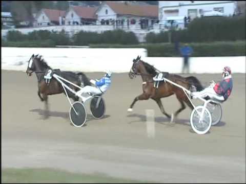 Trotto 31/01/2017 - 4ª corsa