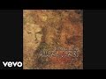 Ricardo Arjona - Te Enamoraste de Ti (Version Acustica (Cover Audio))