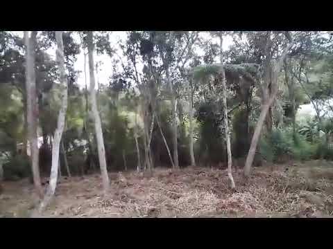 Chácara em Biritiba Mirim - Aceita Troca e Proposta! Ótima Localização!