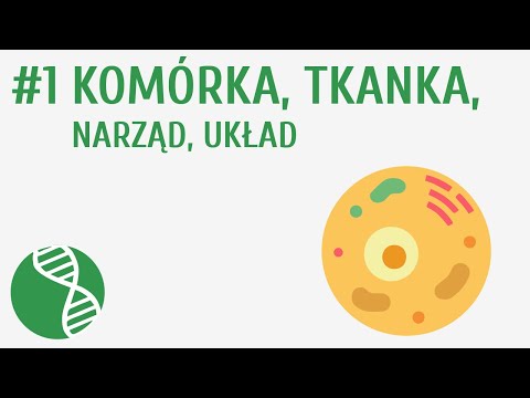 Komórka, tkanka, narząd, układ #1 [ Homeostaza ]