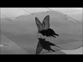 Drake Fire Desire Slowed Reverb
