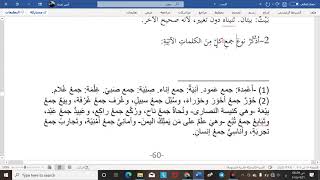 تدريبات تصريف الأسماء المبحث الخامس: المثنى والمجموع image