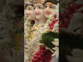 Dattaguru Song Dattatreya Dattagurumaharaj Dattaguru Dattaguru Aarti