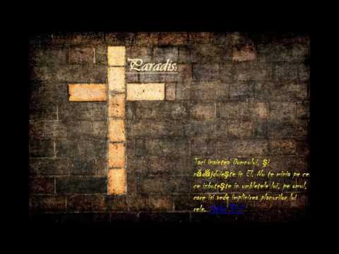 Paradis Pe marea vietii