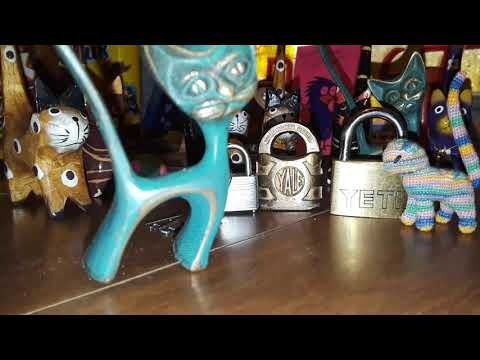 The Cats Discuss "Assigned Duties" 🐈🐱