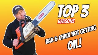 This STIHL Chainsaw Is Not Oiling The Bar & Chain! STIHL HUSQVARNA Etc.