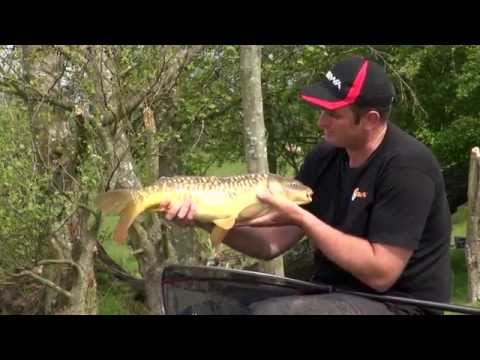 Pellet Waggler Fishing with Steve Ringer