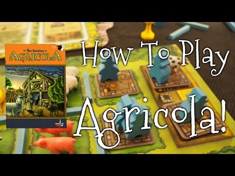 A Dicey "Walkthrough Review" of Agricola Revised Edition!