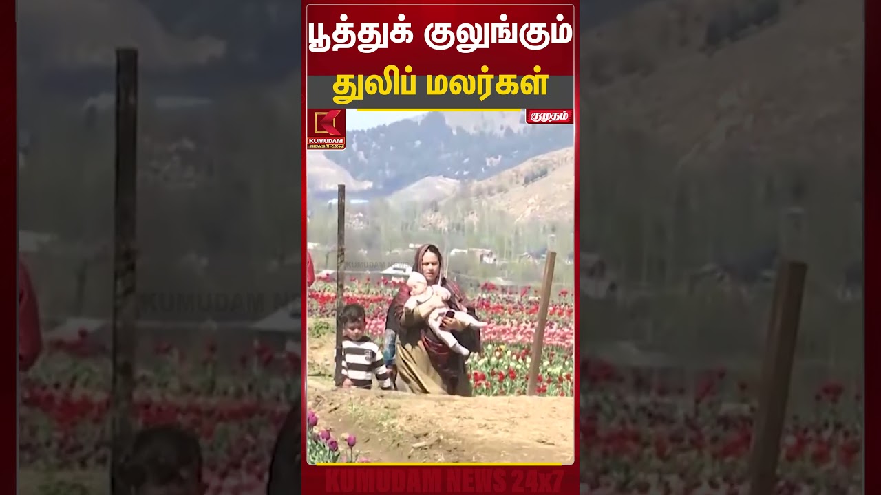பூத்துக் குலுங்கும் துலிப் மலர்கள் | Flowers | Kumudam News