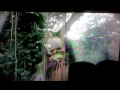 Jurassic Park 3 The Skeleton Scene