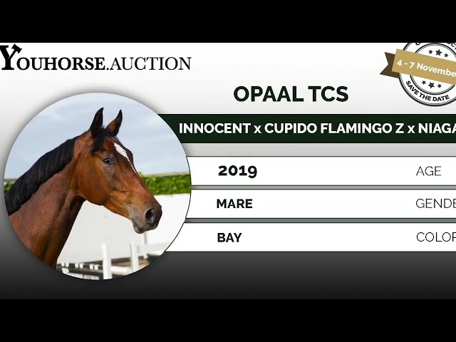 Opaal under the saddle