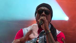 THIRD WORLD - Reggae Ambassadors | Rototom Sunsplash: Live from Benicàssim LP