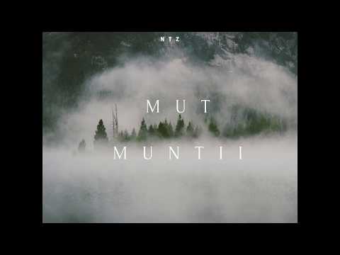 NTZ - Tovaras (Audio) prod. AllroundaBeats