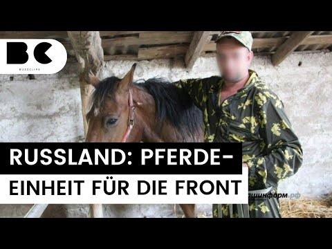 Sondereinheit: Jetzt holt Putin die Kavallerie