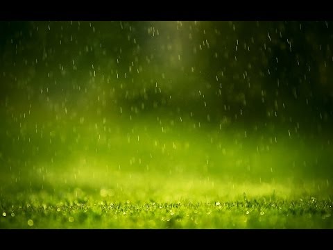 صوت المطر والرعد - اصوات الطبيعة - استرخاء, دراسة, تأمل, نوم - ساعة كاملة - Relaxing Rain & Thunder