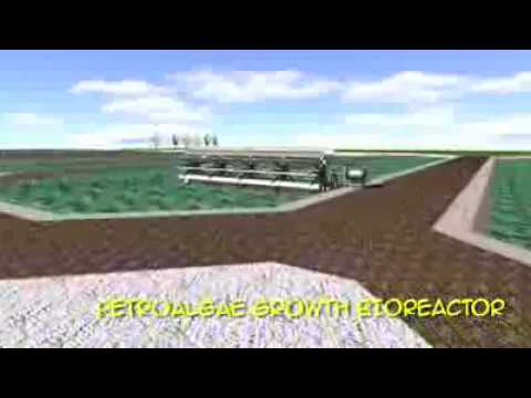 PetroAlgae's American Oil Farm - Biofuel