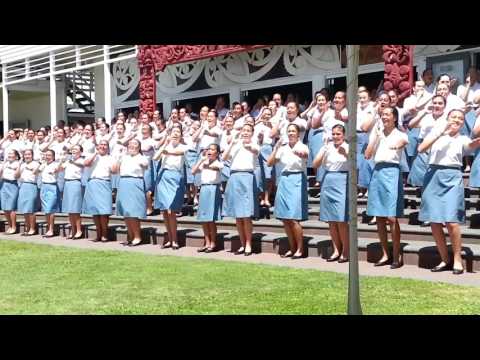 Hato Hohepa powhiri 2017 b