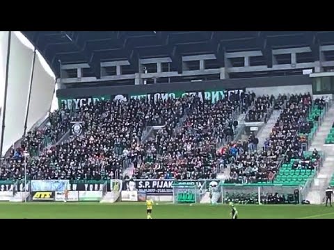 Doping kibiców Stal Stalowa Wola w meczu z Wieczysta Kraków | 01.04.2023