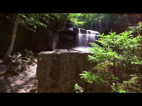 3 Keshillat e Profetit alejhi selam