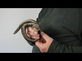 2783 Mini Snake Mini Schlange Fingerpuppe FOLKMANIS PUPPETS