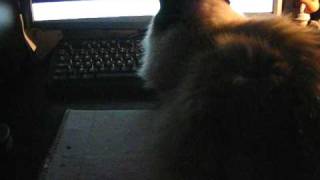 Spännande film tycker jag