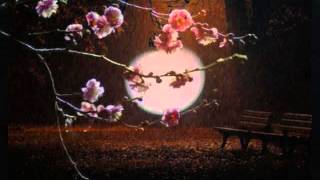 LUZ DE LUNA- LUIS MIGUEL