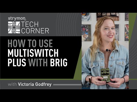 Strymon Tech Corner: Brig With MultiSwitch Plus