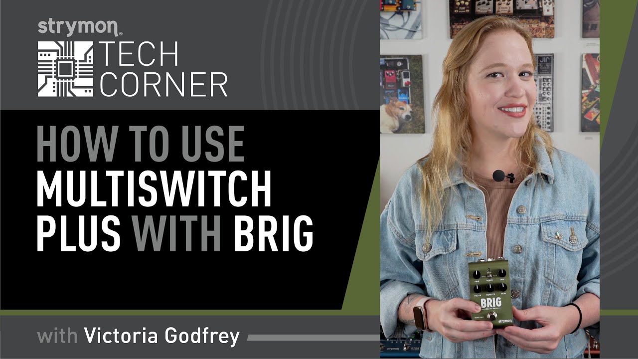 Brig dBucket Delay - Strymon Brig dBucket Delay - Strymon