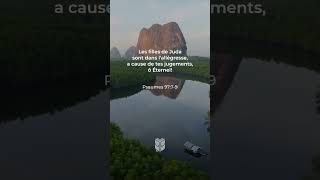 Psaumes 97:7-9 Louis Segond #biblevision #labible