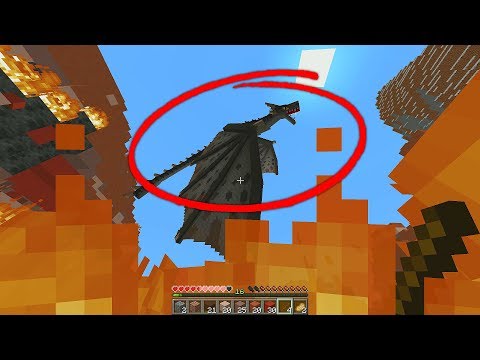 R&umb - so i tried to fight this modded dragon in minecraft...