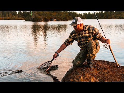 På jakt etter grov høstørret