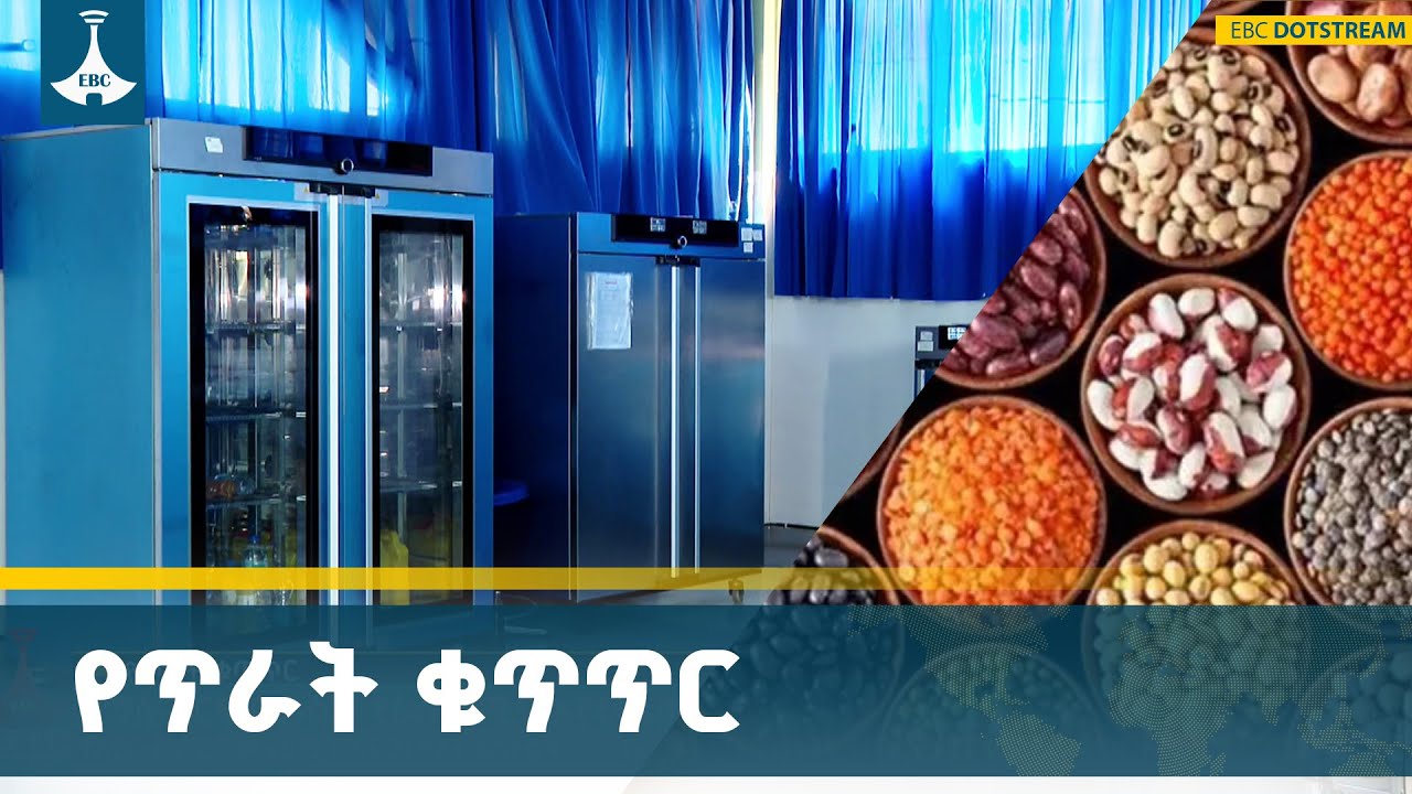 ለልጆች የሕይወት ክህሎቶችን የሚያስተምረው የሕፃናት ማቆያ|Kids|Day Care| ETV | EBC | EBCDOTSTREAM