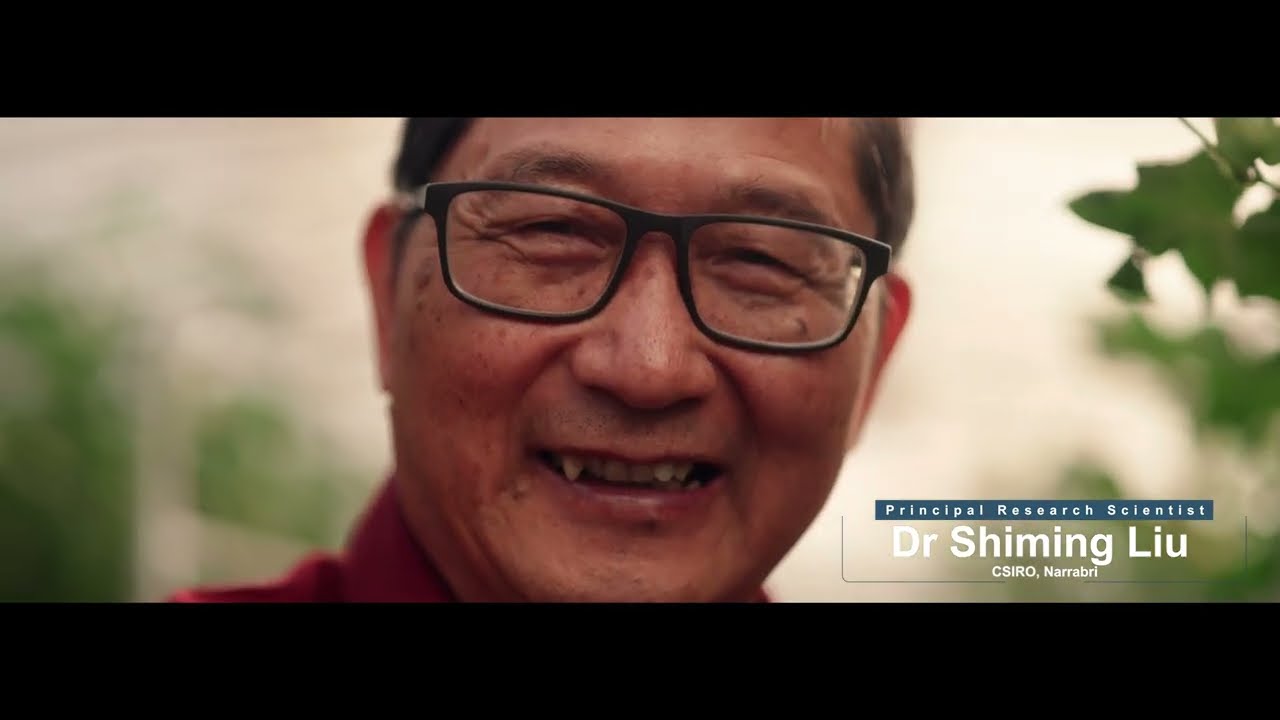 2026 Cotton Seed Distributors Researcher of the Year Nominee: Dr Shiming Liu