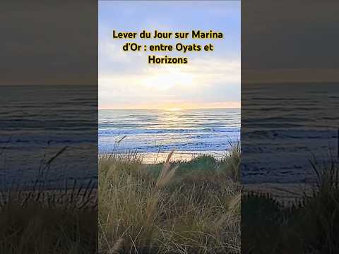 DANS LES PREMIÈRES LUEURS À OROPESA DEL MAR : LA MER ET LES OYATS