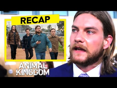 Animal Kingdom Season 5 Recap That Setups Up An Intense Season 6!