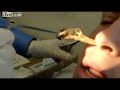 Video 'Malé roztomilé holoubátko'