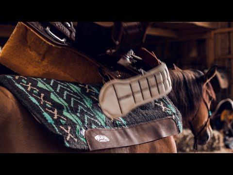 7 steps to check saddle fit