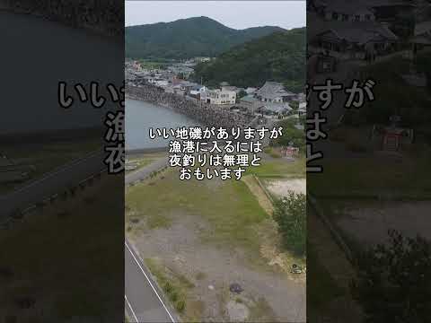 空撮釣り場 三尾漁港 #shorts