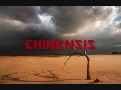Chinensis- Flowing tears (Sad drum & bass)