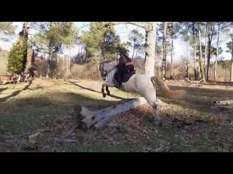 11/01/20 cross les 1ers sauts