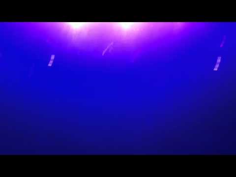 Dazzle & Cor Fijneman @ Matrixx, Tranceclassixx 2012-01-07